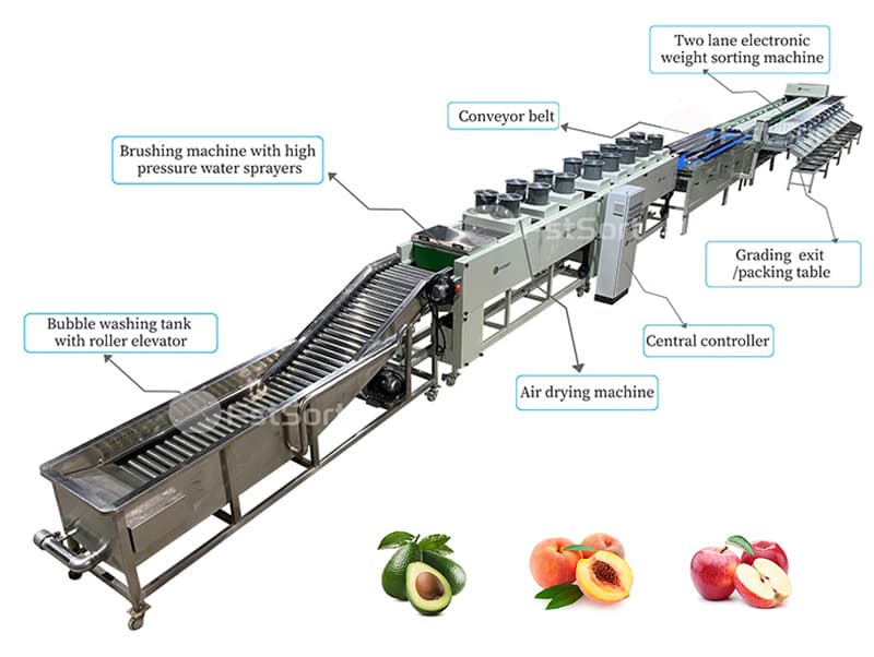 images/1710758423008fruit processing equipment.jpg